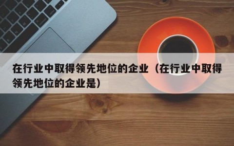 在行业中取得领先地位的企业（在行业中取得领先地位的企业是）
