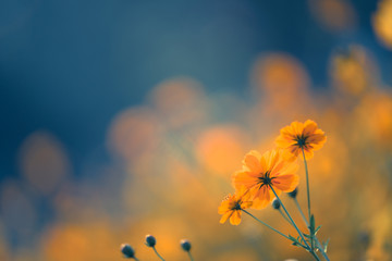 辅助神器“老铁联盟开挂教程”开挂(透视)最新辅助详细