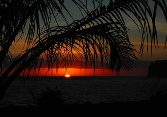 最新一款“微信拼三张透视免费版”详细透视辅助教程