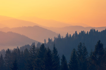 玩家必读“星悦广西麻将到底有没有挂”开挂(透视)辅助教程!