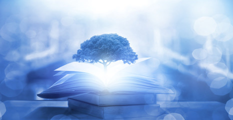 最新一款“微乐卡五星有什么技巧”【透视软件教程分享】