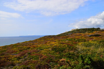 今日必看教程“微乐龙江麻将开挂教程”开挂(透视)最新辅助详细