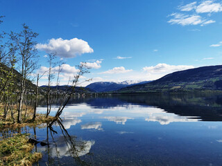 辅助开挂工具“小甘麻将怎么设置才能赢”开挂神器{透视辅助}全揭秘