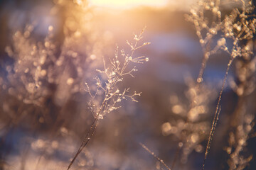 玩家必看教程“微乐捉鸡麻将如何只赢不输”附开挂脚本详细步骤