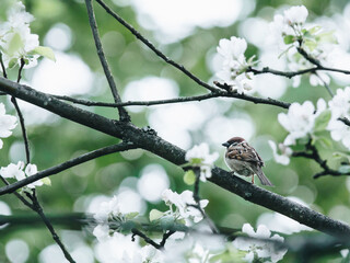 开挂器推荐“微乐斗地主万能透视”(透视)其实确实有挂