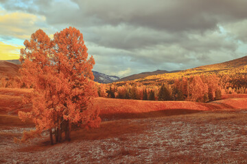 玩家辅助神器“闲逸碰胡有没有挂”可以开挂方法