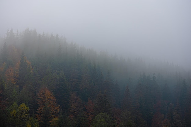 今日必看教程“微乐麻将挂试用一天”通用版下载教程!