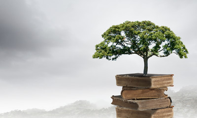 辅助神器“微乐陕西三代技巧”开挂辅助脚本