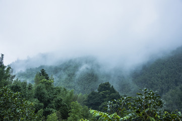 今日必看教程“手机跑得快开挂多少钱”开挂(透视)辅助教程!